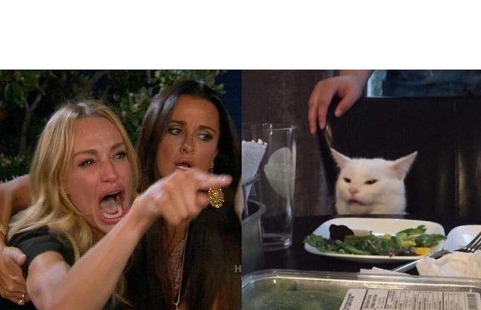 Woman Yelling At Cat blank internet meme template