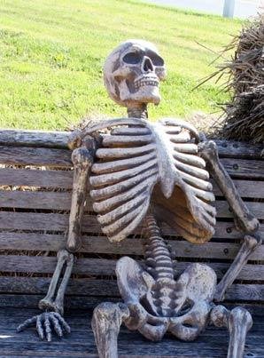 Waiting Skeleton blank internet meme template
